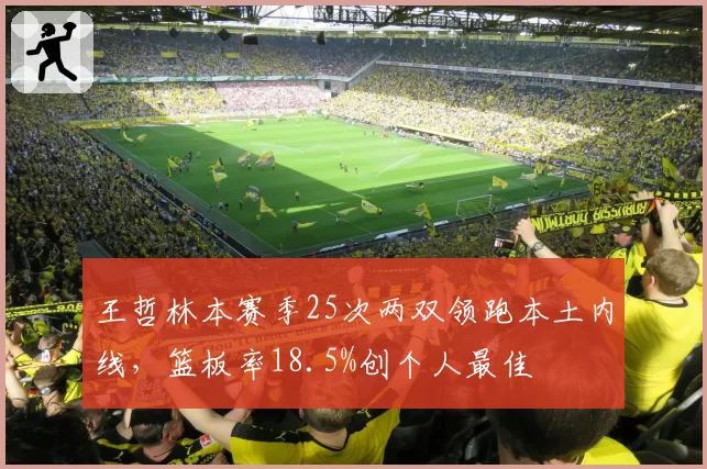 王哲林本赛季25次两双领跑本土内线，篮板率18.5%创个人最佳