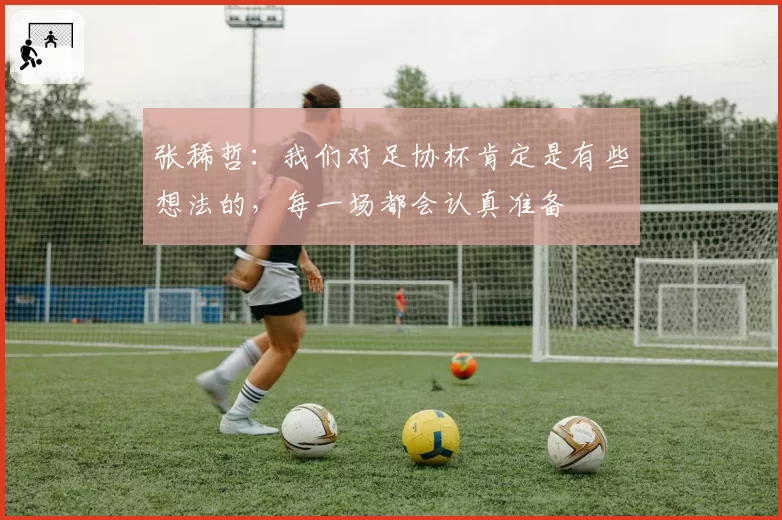 张稀哲:我们对足协杯肯定是有些想法的,每一场都会认真准备